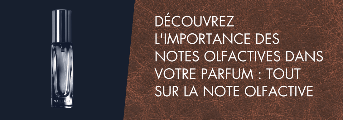 Découvrez l'Importance des Notes Olfactives dans Votre Parfum : Tout sur la Note Olfactive - Vaillant Parfums FR