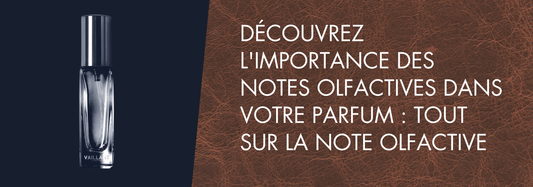 Découvrez l'Importance des Notes Olfactives dans Votre Parfum : Tout sur la Note Olfactive - Vaillant Parfums FR