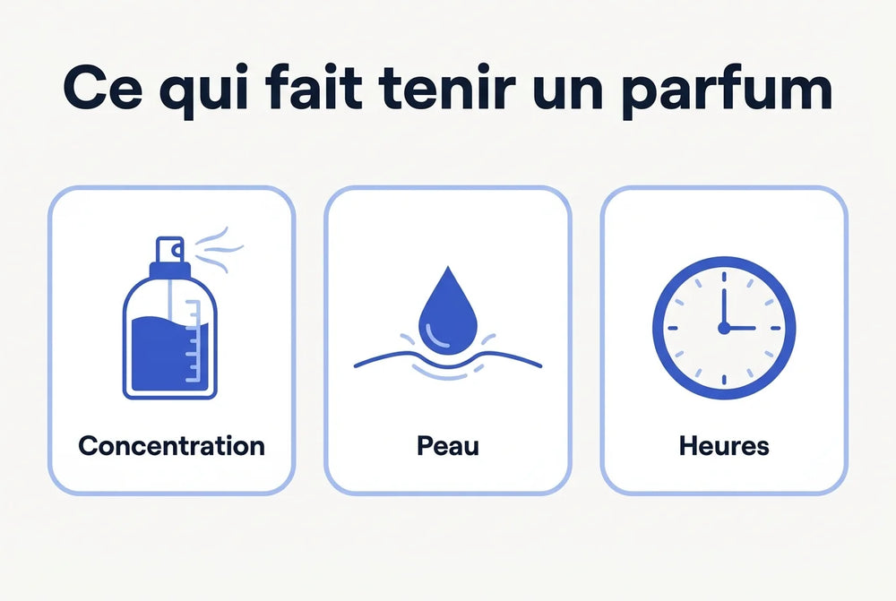 Trois cartes bleues intitulées Concentration, Peau et Heures sous le titre Ce qui fait tenir un parfum.