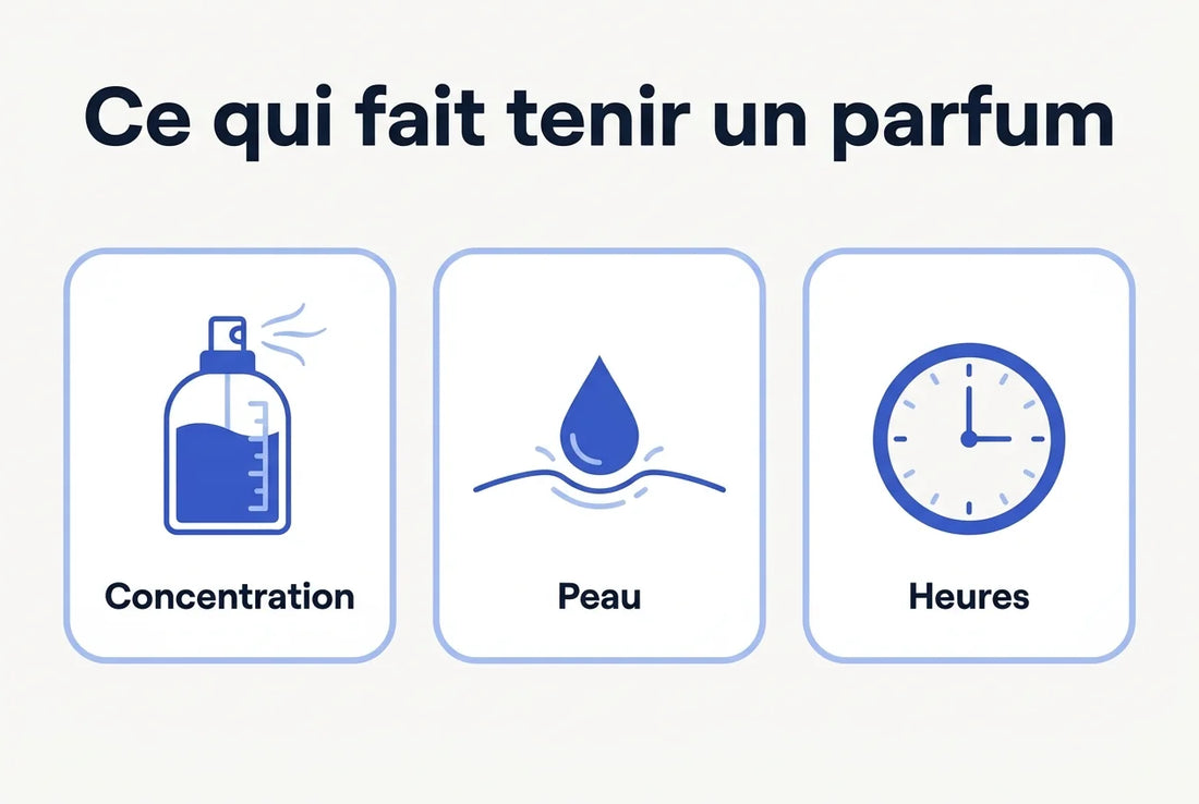 Trois cartes bleues intitulées Concentration, Peau et Heures sous le titre Ce qui fait tenir un parfum.