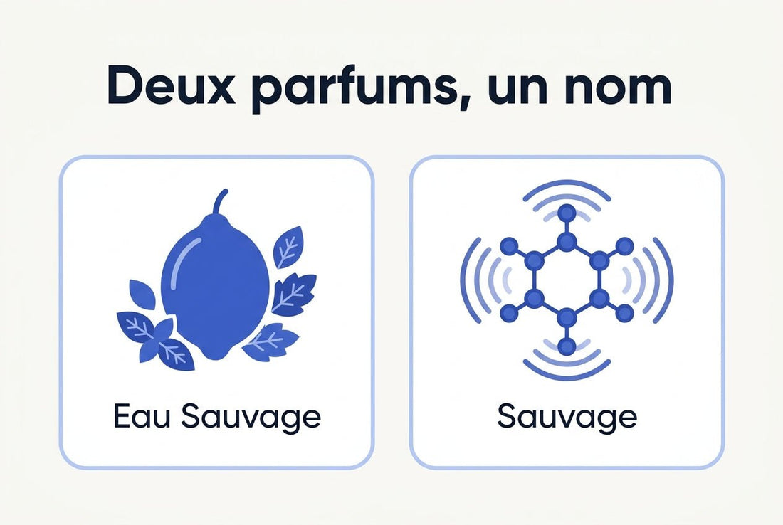 Parfum comme Eau Sauvage : les vraies alternatives - Vaillant Parfums