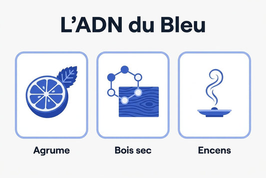 Parfum homme comme Bleu de Chanel : les 5 alternatives qui tiennent - Vaillant Parfums