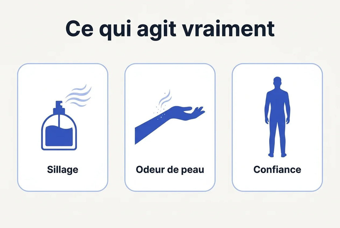 Parfum phéromone qui attire les femmes : ce qu'il y a vraiment dans le flacon - Vaillant Parfums