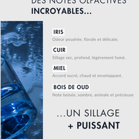 Vaillant - L'original_