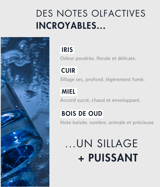 Vaillant - L'original_