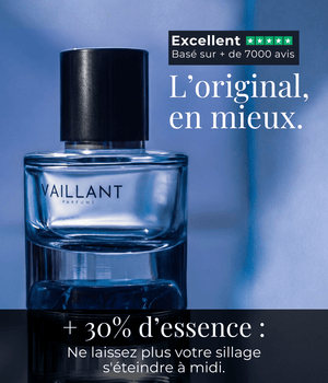 Vaillant - L'original