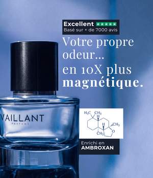 Vaillant - L'original