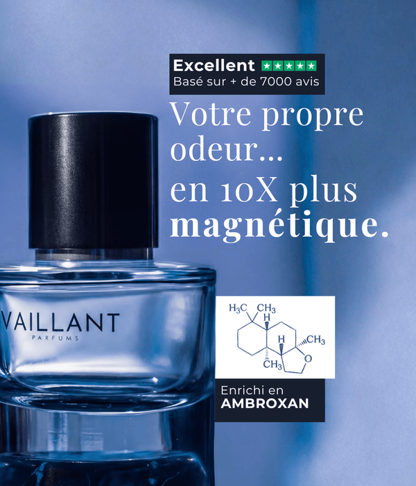 Vaillant - L'original_
