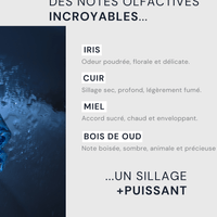 VAILLANT - L'ORIGINAL_