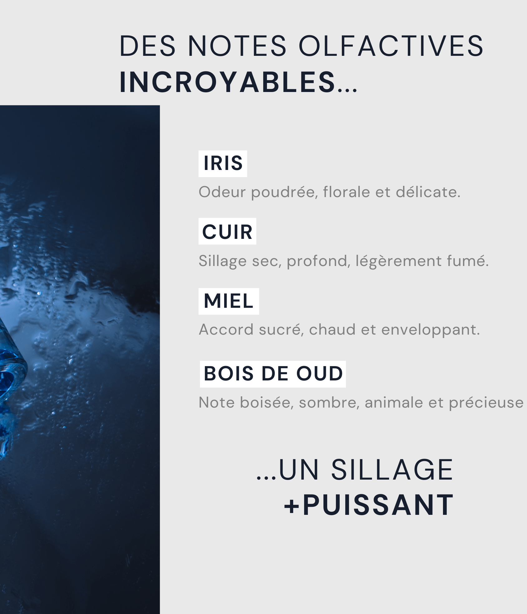 VAILLANT - L'ORIGINAL_